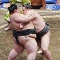 第63代横綱のしこ名継ぐ旭富士、序ノ口デビューから15連勝　三段目で210・3キロ寄り切る
