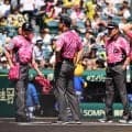 【阪神】母の日仕様の審判が好ジャッジ　各国の「ありがとう」ちりばめる斬新デザイン着用