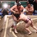 大相撲　炎鵬１１４１日ぶり関取星！場内大歓声　脊髄損傷の重傷から再十両