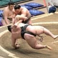 幕下・和歌ノ富士、自己最高位で白星発進「落ち着いて相撲を取っていきたい」