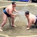 友風が初日黒星も「前に出る意識があった。やることが頭の中に明確になっていました」と納得の表情