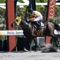 【平城京S結果】テスティモーネが人気2頭の争いを制して2連勝
