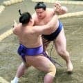 新入幕の若ノ勝が白星スタート　欧勝海に圧勝
