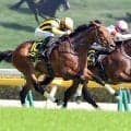 【東京１０Ｒ・メトロポリタンＳ】ウエストナウが激しい競り合い制す　高杉吏麒騎手「頭出られたけど良く抜け出してくれました」