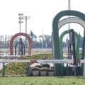 【平城京S】テスティモーネが接戦制してオープン初V…断然人気グランドプラージュは2着