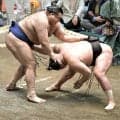 高安が豊昇龍を破る　長いにらみ合いの末、勝利　「冷静に取れたのがよかった」