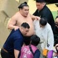 豊昇龍が右太もも痛めたか　高安に敗れた際になかなか立ち上がれず　車いすで診療所に向かう