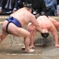 豊昇龍は高安に苦杯　先場所優勝の霧島は白星も、琴桜は敗れる