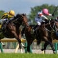 【メトロポリタンS】ウエストナウが接戦制しオープン2勝目…ゴール前では勝負根性光る