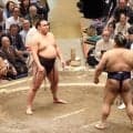 ケガの豊昇龍は締め込みのまま車イスで診療所へ　高安とのにらみ合いで気負ったか