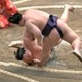 新関脇の琴勝峰は初日黒星「詰めの甘い攻めになってしまった。自分の形を作るのが遅かった」