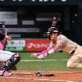 【データ】97年ヤクルト稲葉以来　ソフトバンク周東佑京が29年ぶり単独ホームスチール