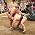 小結高安「初日で勝って最高」上手投げで横綱豊昇龍を撃破「ここからまた上げていきたい」