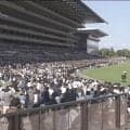 名馬の登場に競馬ファン大歓声… 大一番で“誘導役”先輩馬が母の日のあしらいで登場のシーンが話題に「美しさも可愛さも兼ね備える」