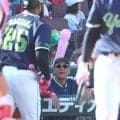 ヤクルト　連勝３でストップ　今季最少タイ３安打に抑え込まれる