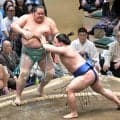 【元大関・琴風の目】立ち合い鋭く戦える藤ノ川、往年の小兵力士に似ている…黒星の琴桜は残念で仕方ない