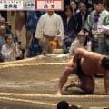 「控えた方がいい」高安に苦言 元横綱・若乃花、豊昇龍に“まさか”のアクシデント発生で見解