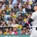 「かすっただけやんww」　佐藤輝明の衝撃10号で“証明”…X脱帽「もはやバグ」