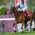 春の古馬女王決定戦・ヴィクトリアMなど3重賞/今週の競馬界の見どころ