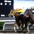 【高知・春野特別】単勝１３０円のミスズグランドオーが接戦制してＶ　塚本征吾騎手「最後は早くゴールが来てくれという気持ちでした」