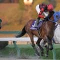 【盛岡・シアンモア記念】ルコルセールが重賞連勝…ヒロシクンは2着
