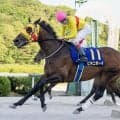 【佐賀スプリングカップ】ビキニボーイが連覇！山口勲「思い切っていった」