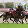 【新潟大賞典登録馬】良血シュガークンなど17頭