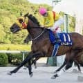 【佐賀スプリングカップ】ビキニボーイがロングスパートで連覇達成　山口勲騎手「少しずつ衰えも来ていると思うが、地力で頑張ってくれた」
