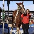 ばんえいの頂点へ！馬主になった元ガールズケイリン選手の日野未来さん「この馬なら馬主人生の第一歩を託せるのでは」