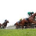【仏2000ギニー】グラファール厩舎のライフが217日ぶりV！ 欧州3歳マイル王決定戦を完勝