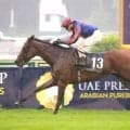【仏1000ギニー】ダイヤモンドネックレスが無傷の4連勝…A.オブライエン師も絶賛「父によく似ている」