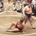 豊昇龍が休場、２横綱１大関不在に…前日高安戦で右足負傷　大の里、安青錦に続きまた看板力士