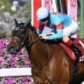 【ヴィクトリアM見どころ】昨年の最優秀3歳牝馬エンブロイダリーが更に勲章を手にする