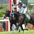 【京都HJ想定騎手】ネビーイームは小牧加矢太騎手、メイショウアツイタは難波剛健騎手