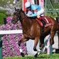 【ヴィクトリアM想定騎手】エンブロイダリーはC.ルメール騎手、クイーンズウォークは西村淳也騎手