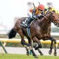 【新潟大賞典想定騎手】ドゥラドーレスはC.ルメール騎手、シュガークンは武豊騎手