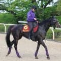 【ヴィクトリアＭ】Ｇ１現役最多タイ２３勝の友道厩舎が勝負をかけるカムニャック　エンブロイダリー逆転へのカギ