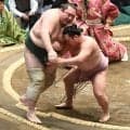 十両炎鵬が２連勝　白鷹山に寄り切りで圧勝