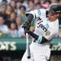 佐藤輝明の“ド派手変化”が「最高でしかない」　甲子園魅了した特別仕様は「毎日使って」