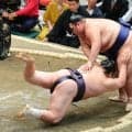 友風が連敗も「よく足は出ています。良いんじゃないですか」と納得