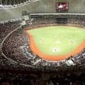 WBCの熱狂が追い風に…台湾プロ野球が「1万人時代」に突入　37年目に描く目標とは