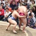 高須克弥院長がドラえもんの赤ニット姿でパートナーの西原理恵子氏と夏場所観戦「今日も派手ね」