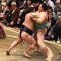 霧島、高安が２連勝　琴桜、熱海富士は２連敗　豊昇龍休場で２横綱不在に