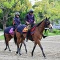 【ヴィクトリアＭ】２４年牝馬２冠チェルヴィニアに復活の兆し　中間調整で強めのスパイス　Ｇ１連勝狙うレーン騎手