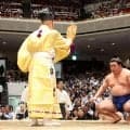 藤ノ川が不戦勝　豊昇龍が休場で２勝目…春場所金星も対戦なくなり「仕方ないので」