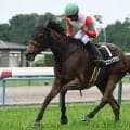 【AI予想・ヴィクトリアM】春の女王決定戦は社台グループ生産馬に注目!? 本命候補は前走敗戦も牝馬トップレベルの能力