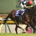 1位は3連単2070万5810円！ ヴィクトリアM配当ランキングTOP5