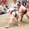 激しい一番制し大関霧島が連勝発進、２横綱１大関不在も「意識しない」自然体強調「集中するだけ」