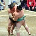 琴桜が大関昇進後、初めて初日から連敗　九重審判長「巨漢を生かせていない。若隆景が引くのを待っていた」