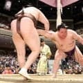 連勝の美ノ海、激しい突きに臨機応変真っ向勝負「そういうスイッチは入るかも」反省も口に